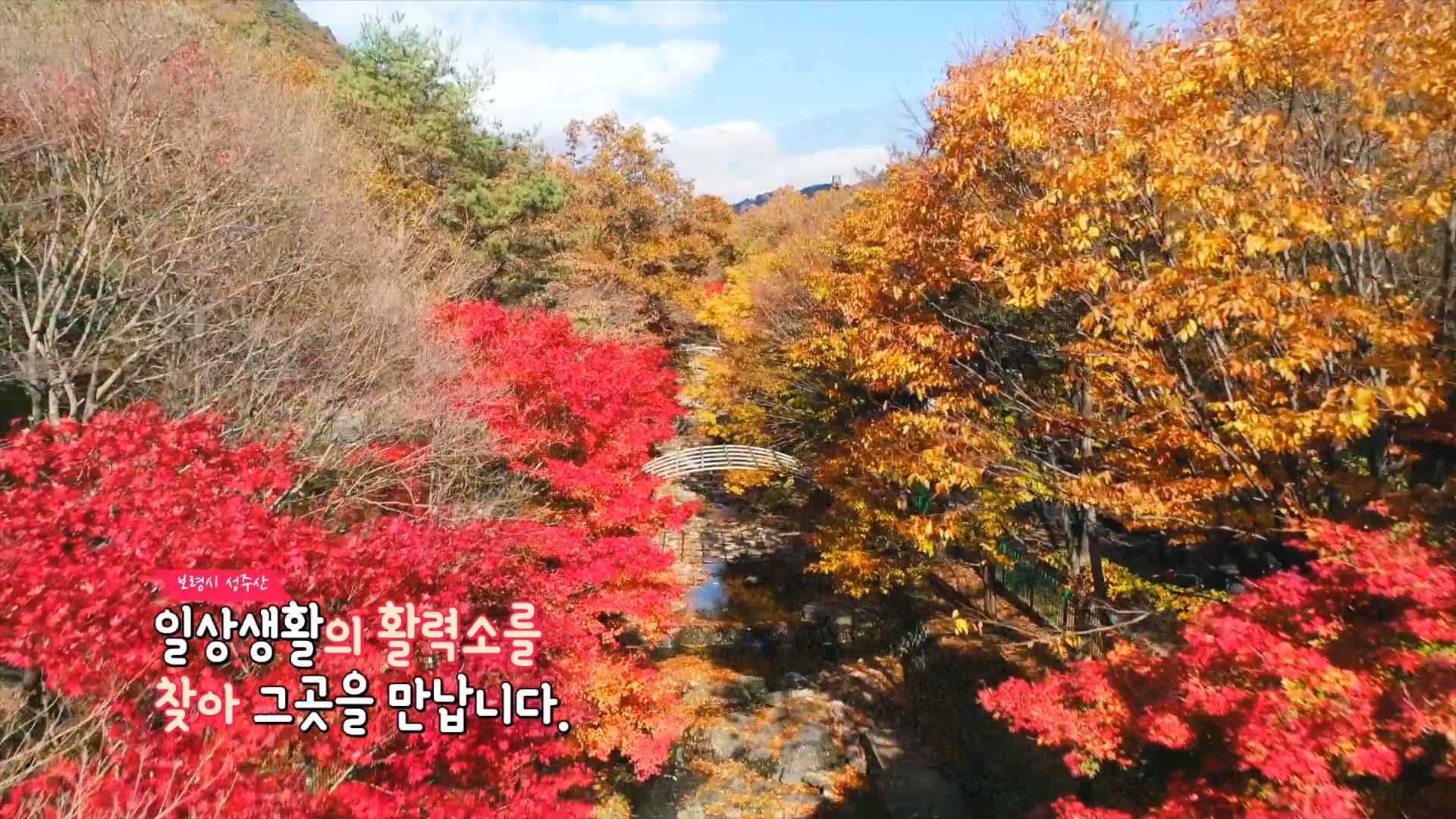 당신에게 건네는 힐링과 치유 '성주산 단풍'